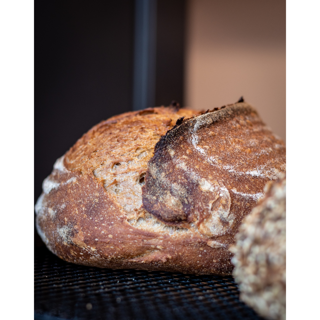 Country Sourdough Loaf