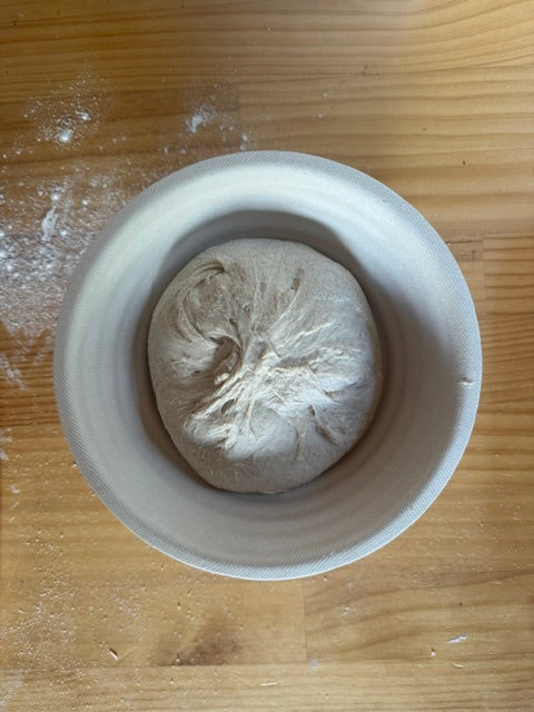Brod & Taylor Banneton (Boule) Set of 2
