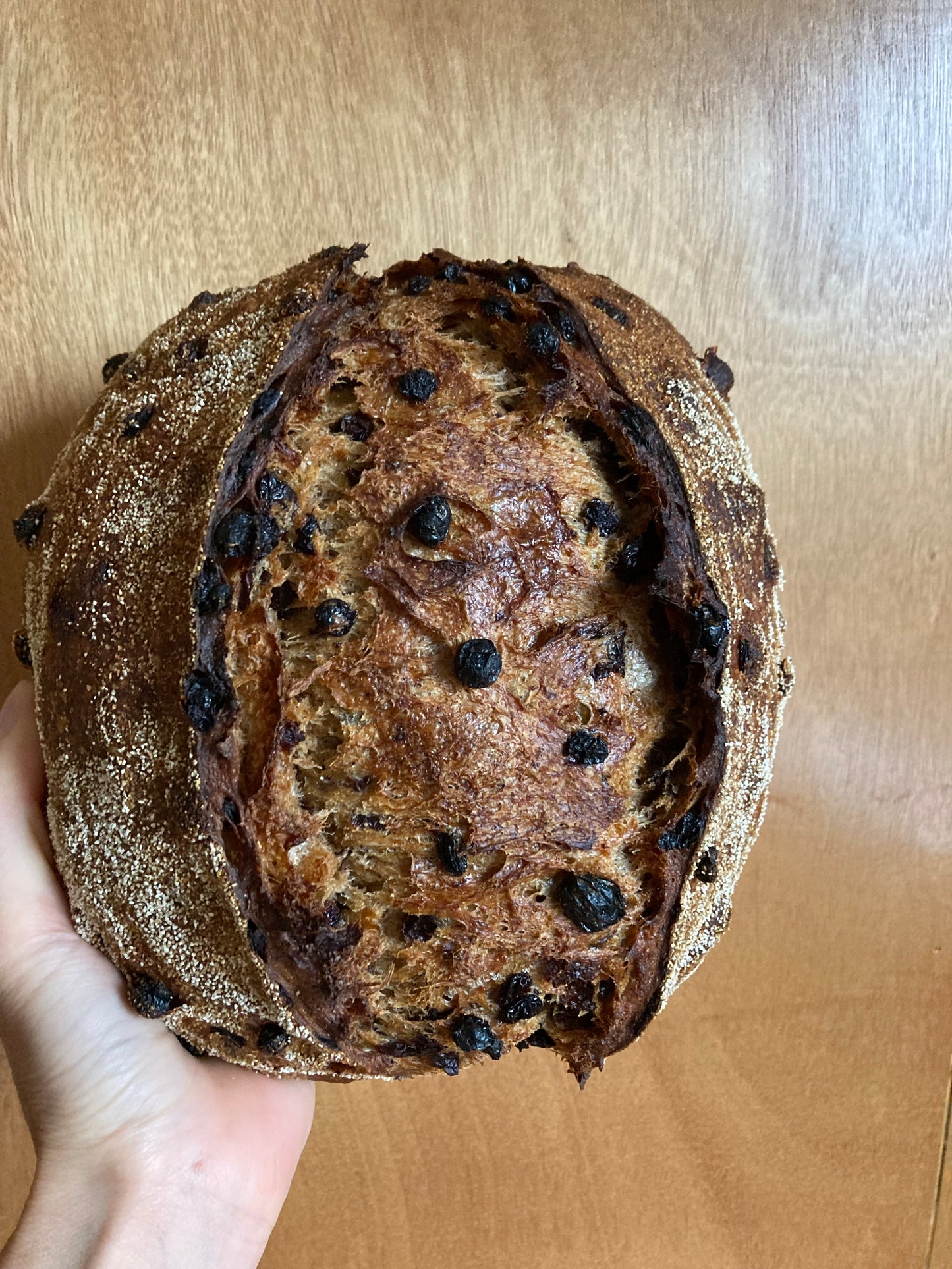 Fruit Sourdough