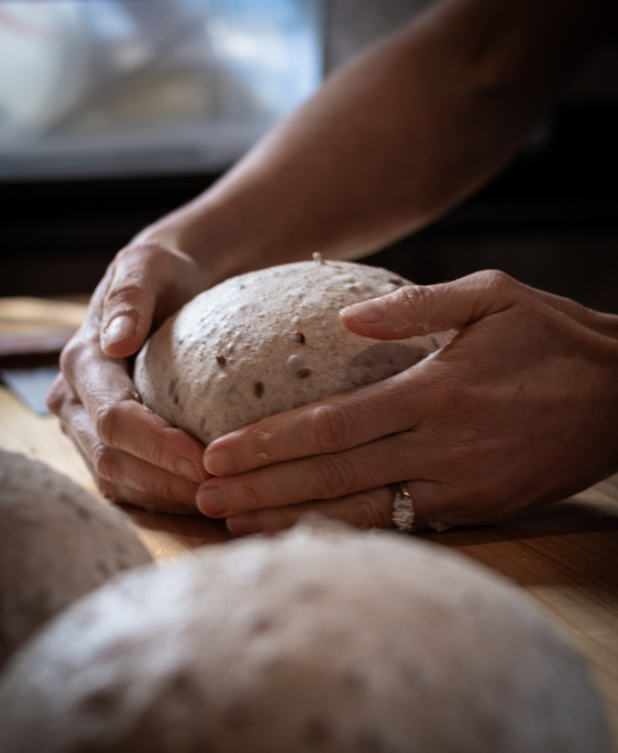 An introduction to Sourdough at Studio Rūma in Orewa (August 7th)