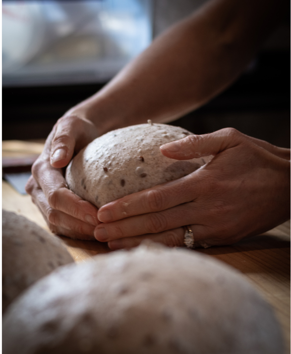 Workshop - An introduction to Sourdough at Studio Rūma in Orewa