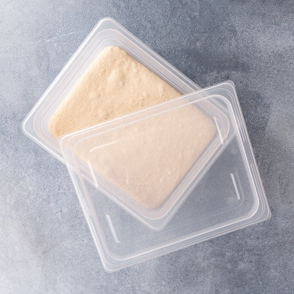 Brod & Taylor Proofing Container (6L)